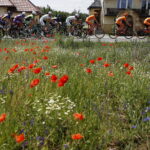 02.06.2018 13.Międzynarodowy Wyścig Kolarski Szlakiem Walk Majora Hubala. Etap Skarżysko - Kamienna  do Kazimierzy Wielkiej / Jarosław Kubalski / Radio Kielce