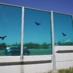 08.06.2018 Kielce. Ekrany akustyczne przy ulicy Ściegiennego / Jarosław Kubalski / Radio Kielce