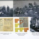 12.06.2018 Kielce. Przystanek Historia. Konferencja popularnonaukowa „Wieś polska podczas okupacji niemieckiej” / Jarosław Kubalski / Radio Kielce