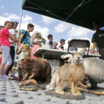 16.06.2018 Daleszyce. Festyn "Bezpiecznie i wesoło z anielską mocą" / Jarosław Kubalski / Radio Kielce