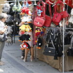 20.06.2018 Kielce. Jarmark na ulicy Sienkiewicza / Jarosław Kubalski / Radio Kielce