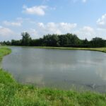 Zochcinek. Kąpielisko / Emilia Sitarska / Radio Kielce