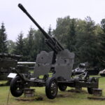 Program "Stacja: Wakacje" w Muzeum Orła Białego / Krzysztof Bujnowicz / Radio Kielce