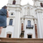 Pies Pikuś jednym z wiernych w kościele w Piekoszowie / Marzena Mąkosa / Radio Kielce