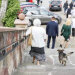 Pies Pikuś jednym z wiernych w kościele w Piekoszowie / Marzena Mąkosa / Radio Kielce