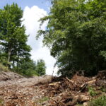 Prace prowadzone na Kadzielni / Marzena Mąkosa / Radio Kielce