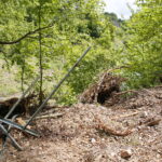 Prace prowadzone na Kadzielni / Marzena Mąkosa / Radio Kielce