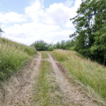 Prace prowadzone na Kadzielni / Marzena Mąkosa / Radio Kielce