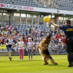 Festyn edukacyjny dla dzieci / Marzena Mąkosa / Radio Kielce