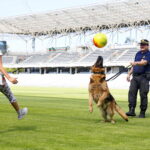 Festyn edukacyjny dla dzieci / Marzena Mąkosa / Radio Kielce