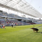 Festyn edukacyjny dla dzieci / Marzena Mąkosa / Radio Kielce