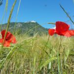 II Motocyklowy Rajd Monte Cassino / Joanna Kuryś, Krzysztof Kurek i Grzegorz Gajewski