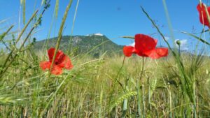 II Motocyklowy Rajd Monte Cassino / Joanna Kuryś, Krzysztof Kurek i Grzegorz Gajewski