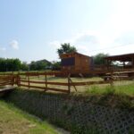 Nieskurzów Stary. Kąpielisko / Emilia Sitarska / Radio Kielce