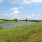 Nieskurzów Stary. Kąpielisko / Emilia Sitarska / Radio Kielce