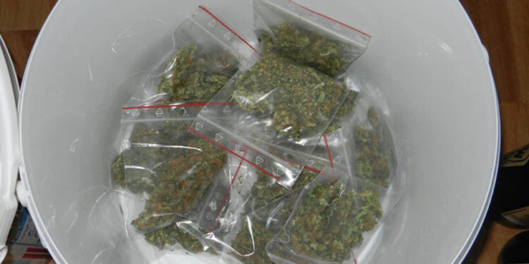 W centrum Kielc 37-latek hodował konopie indyjskie. Policjanci zabezpieczyli także kilogram amfetaminy,  i gotową do sprzedaży marihuanę. / mat. policji