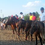 Stadnina Geronimo Team z Wymysłowa wywalczyła pięć medali podczas prestiżowych zawodów w skokach przez przeszkody w imprezie z cyklu Dębica Hucułek CUP na Podkarpaciu / Zawody Dębica Huculek CUP na Podkaropaciu