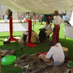 Biesiada Imieninowa Krzysztofa Ossolińskiego na zamku Krzyżtopór / Emilia Sitarska / Radio Kielce