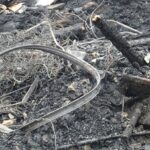 Raszków. Pożar domu. Dogaszanie i reszta budynku / Ewa Pociejowska - Gawęda / Radio Kielce