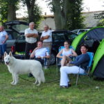 VI Krajowa Wystawa Psów Rasowych / Ewa Pociejowska-Gawęda / Radio Kielce