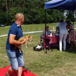 VI Krajowa Wystawa Psów Rasowych / Ewa Pociejowska-Gawęda / Radio Kielce