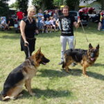 VI Krajowa Wystawa Psów Rasowych / Ewa Pociejowska-Gawęda / Radio Kielce