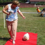 VI Krajowa Wystawa Psów Rasowych / Ewa Pociejowska-Gawęda / Radio Kielce