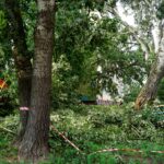 Kielce. Awaria wodociągu na rogu ulic Pocieszka i Nowowiejskiej / Michał Kita / Radio Kielce