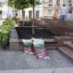 Nowe rośliny przed magistratem / Mateusz Kaczmarczyk / Radio Kielce