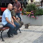 Wyjazdowa audycja "Stacja: wakacje" na Rynku w Sandomierzu / Arkadiusz Miller / Radio Kielce