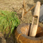 Piknik archeologiczny „Inauguracja Kolebki Żelaza” / Anna Głąb / Radio Kielce