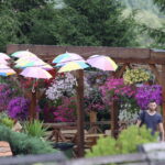 Wakacyjne wydanie Raportu Dnia z Parku Rozrywki i Miniatur Sabat Krajno / Grzegorz Jamka / Radio Kielce