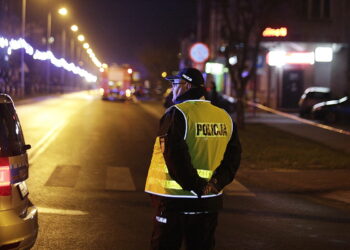 „Plan wysiedlenia Polaków” to fake news