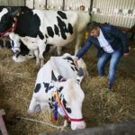 01.07.2018 Modliszewice Świętokrzyski Ośrodek Doradztwa Rolniczego. Dzień Otwarty / Jarosław Kubalski / Radio Kielce