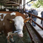 01.07.2018 Modliszewice Świętokrzyski Ośrodek Doradztwa Rolniczego. Dzień Otwarty / Jarosław Kubalski / Radio Kielce