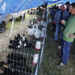 01.07.2018 Modliszewice Świętokrzyski Ośrodek Doradztwa Rolniczego. Dzień Otwarty / Jarosław Kubalski / Radio Kielce