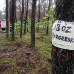 Obóz harcerski w miejscowości Wiosna / Jarosław Kubalski / Radio Kielce