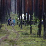 Obóz harcerski w miejscowości Wiosna / Jarosław Kubalski / Radio Kielce