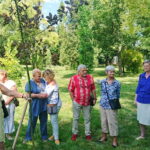 Festiwal im. Krystyny Jamroz. Elżbieta Dzikowska zasadza drzewko (czeremchę) w Parku Zdrojowym / Katarzyna Prędotka / Radio Kielce