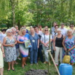Festiwal im. Krystyny Jamroz. Elżbieta Dzikowska zasadza drzewko (czeremchę) w Parku Zdrojowym / Katarzyna Prędotka / Radio Kielce