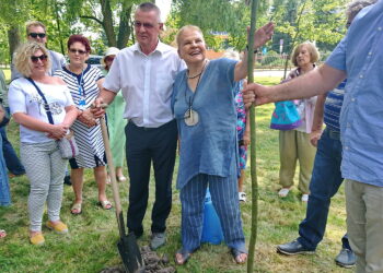 Festiwal im. Krystyny Jamroz. Elżbieta Dzikowska zasadza drzewko (czeremchę) w Parku Zdrojowym / Katarzyna Prędotka / Radio Kielce