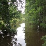 Komaszyce. Audycja „Niedziela z Gwiazdą” / Krzysztof Bujnowicz / Radio Kielce