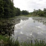 Komaszyce. Audycja „Niedziela z Gwiazdą” / Krzysztof Bujnowicz / Radio Kielce