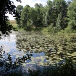 Komaszyce. Audycja „Niedziela z Gwiazdą” / Krzysztof Bujnowicz / Radio Kielce