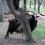 Komaszyce. Audycja „Niedziela z Gwiazdą” / Krzysztof Bujnowicz / Radio Kielce