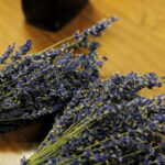 Festiwal zielarski w Łagowie / Marzena Mąkosa / Radio Kielce