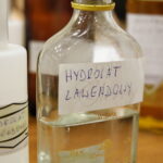 Festiwal zielarski w Łagowie / Marzena Mąkosa / Radio Kielce