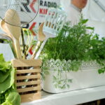 Śniadanie w ogrodzie Radia Kielce / Marzena Mąkosa / Radio Kielce