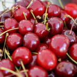 Śniadanie w ogrodzie Radia Kielce / Marzena Mąkosa / Radio Kielce