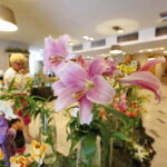 Wystawa lilii w Kieleckim Centrum Kultury / Marzena Mąkosa / Radio Kielce